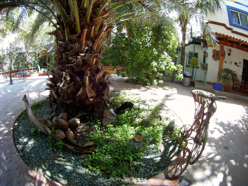 Bed & Breakfast Hacienda Paraiso De