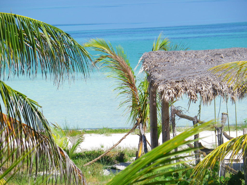Casa Cereza