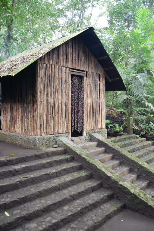 Campsite Reserva Ecologica Nanciyaga Catemaco