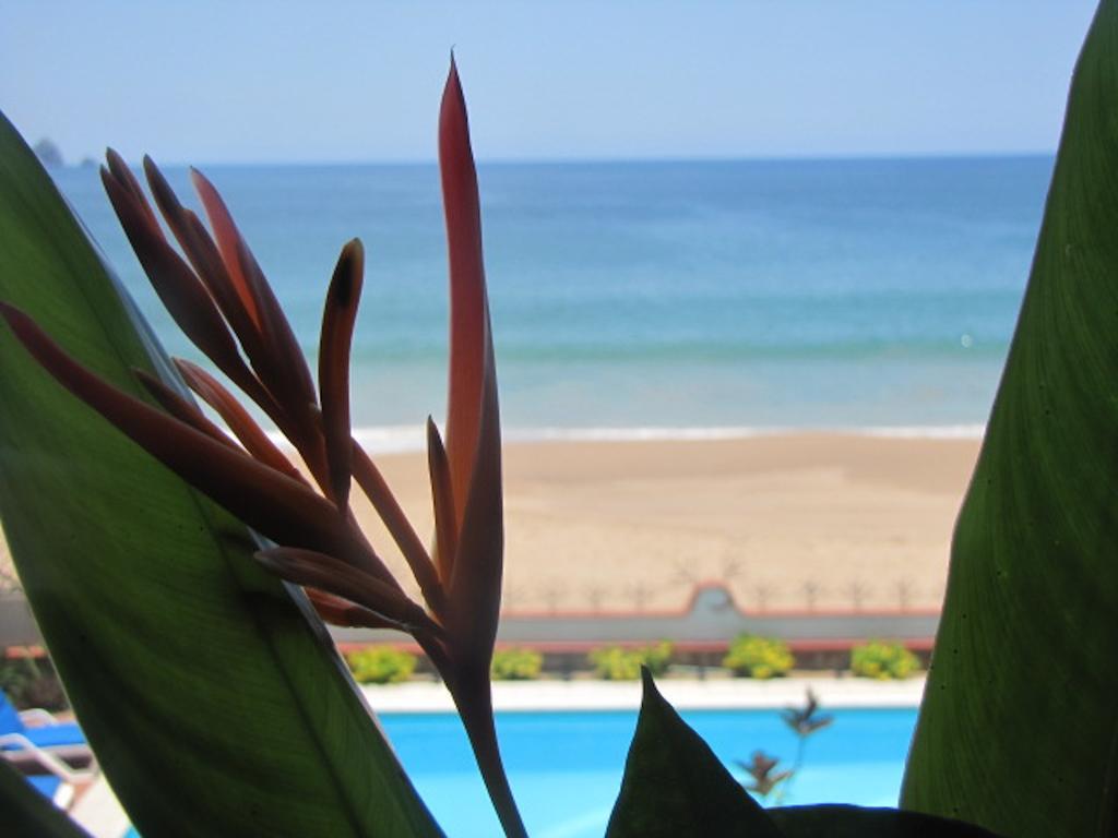 Hotel La Paloma Oceanfront Retreat