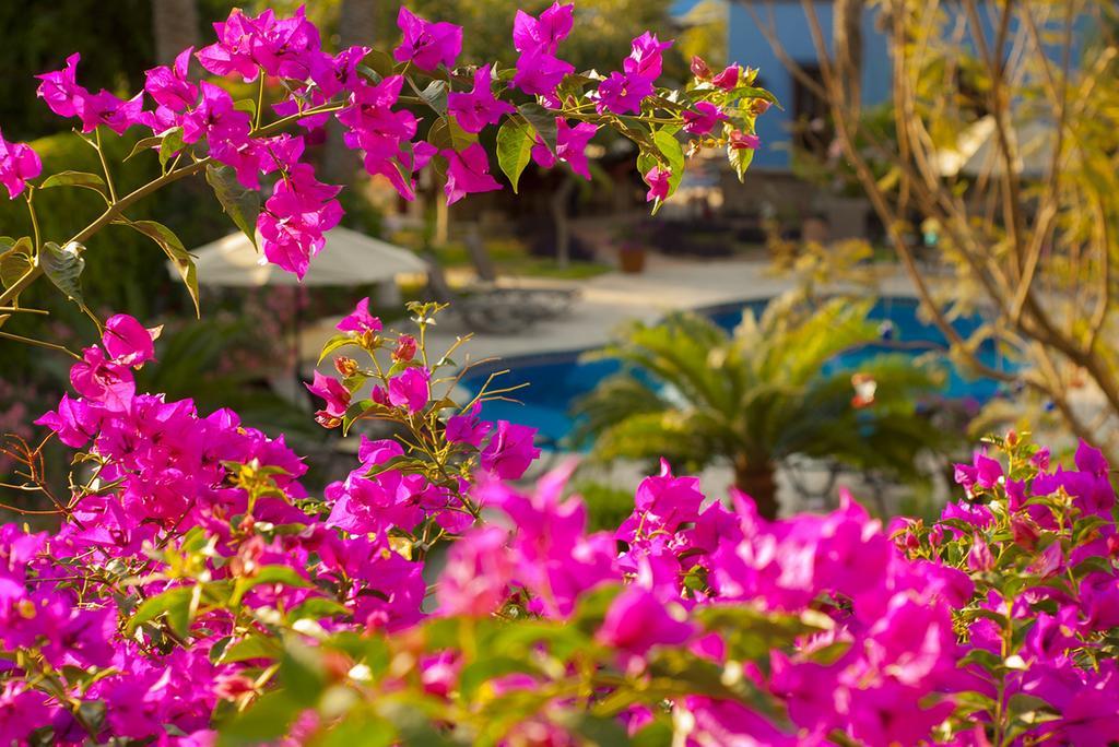El Encanto & San Jose del Cabo
