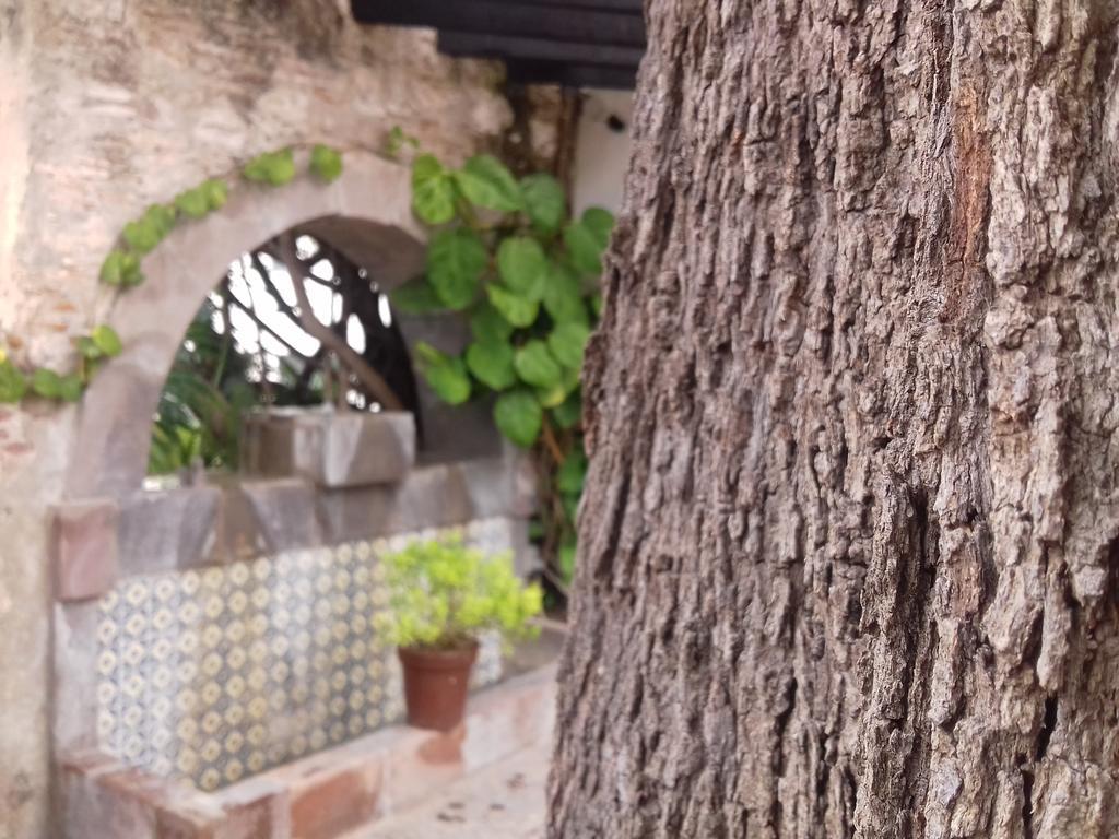 & Dona Urraca San Miguel de Allende