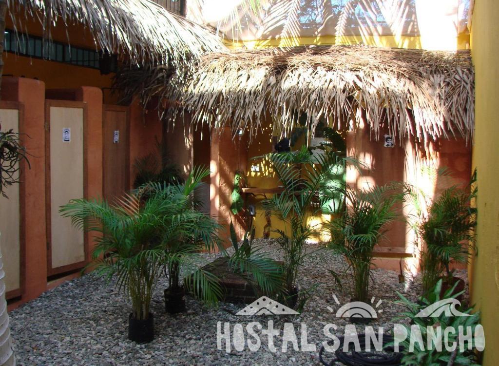 San Pancho Hostel