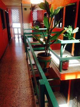 Jardin Cancun