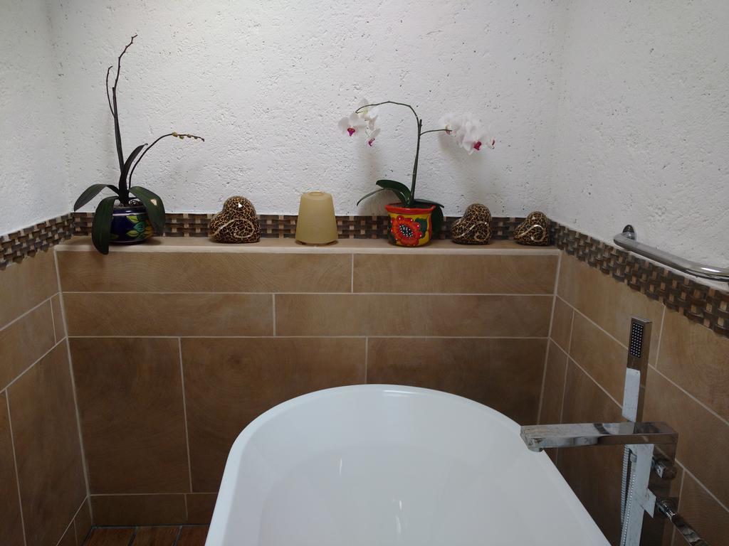 Bed & Breakfast Casa D'lobo Boutique 3*