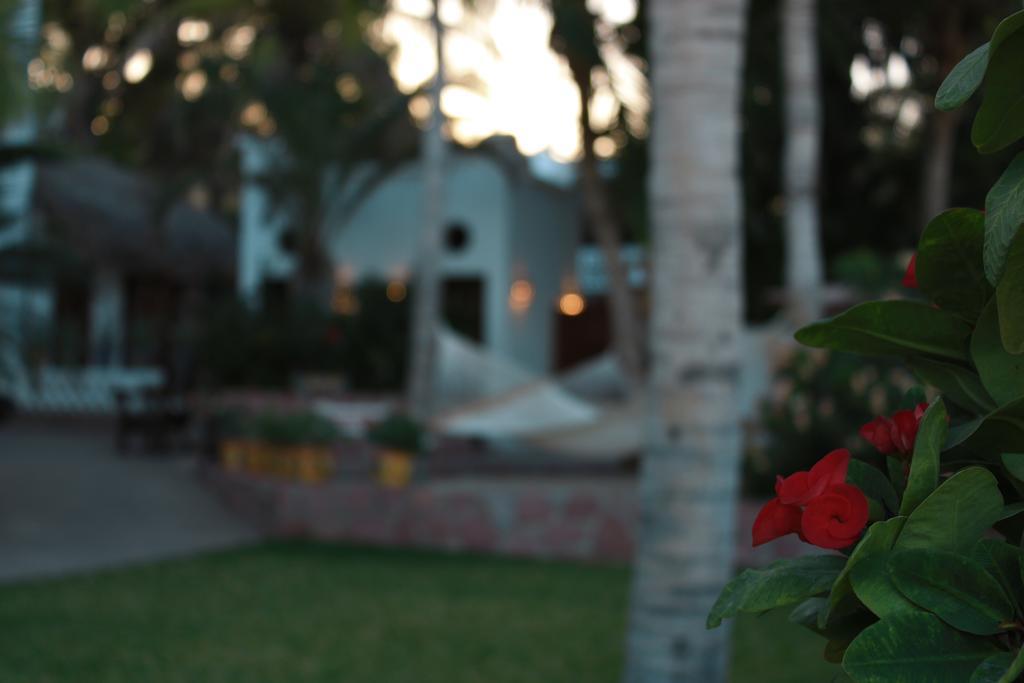 Hotel Casa Costa Azul 3*