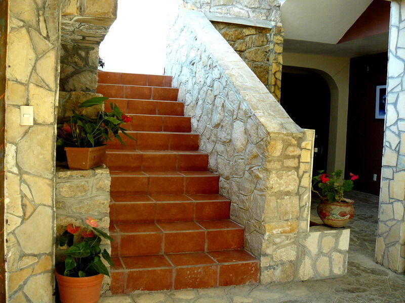 Maria Arte
