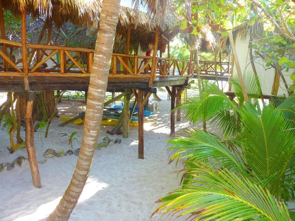 Amoreira Tulum