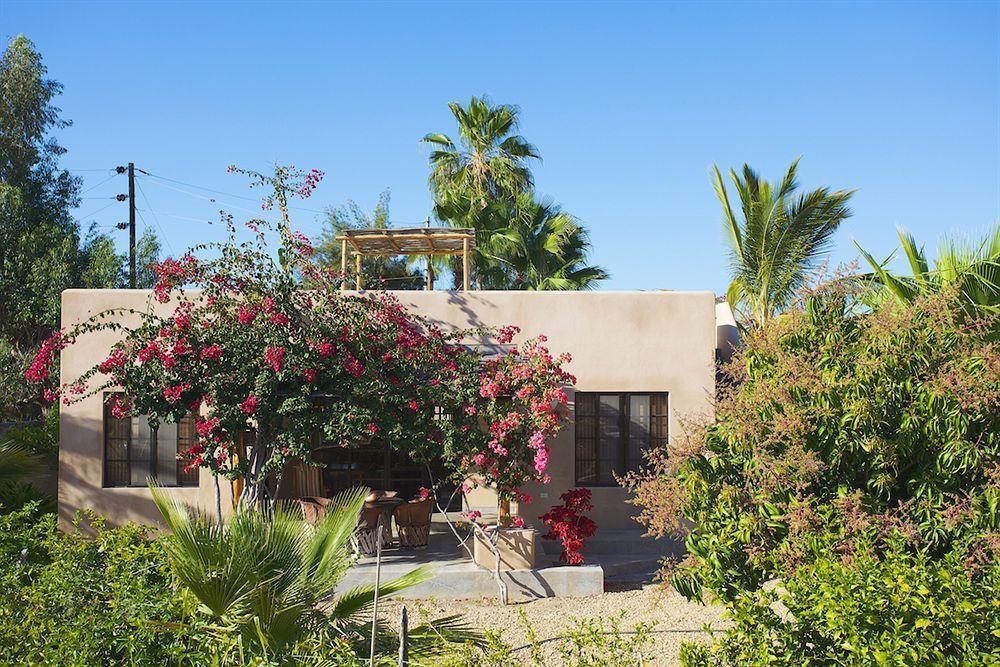 Sole Caliente Todos Santos