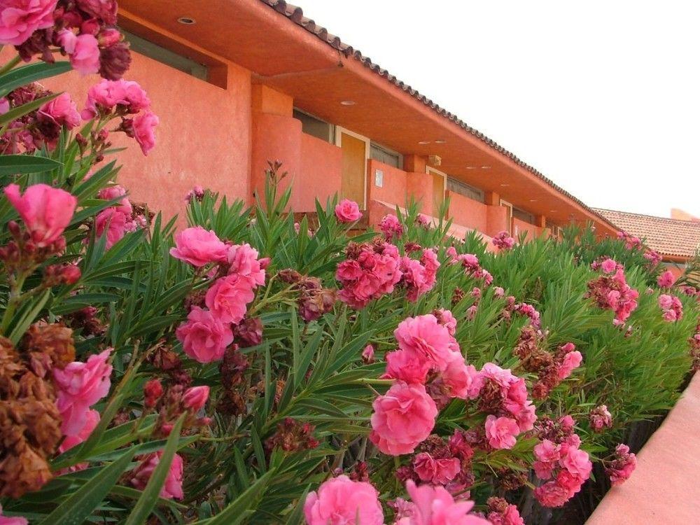 Hotel San Felipe Marina