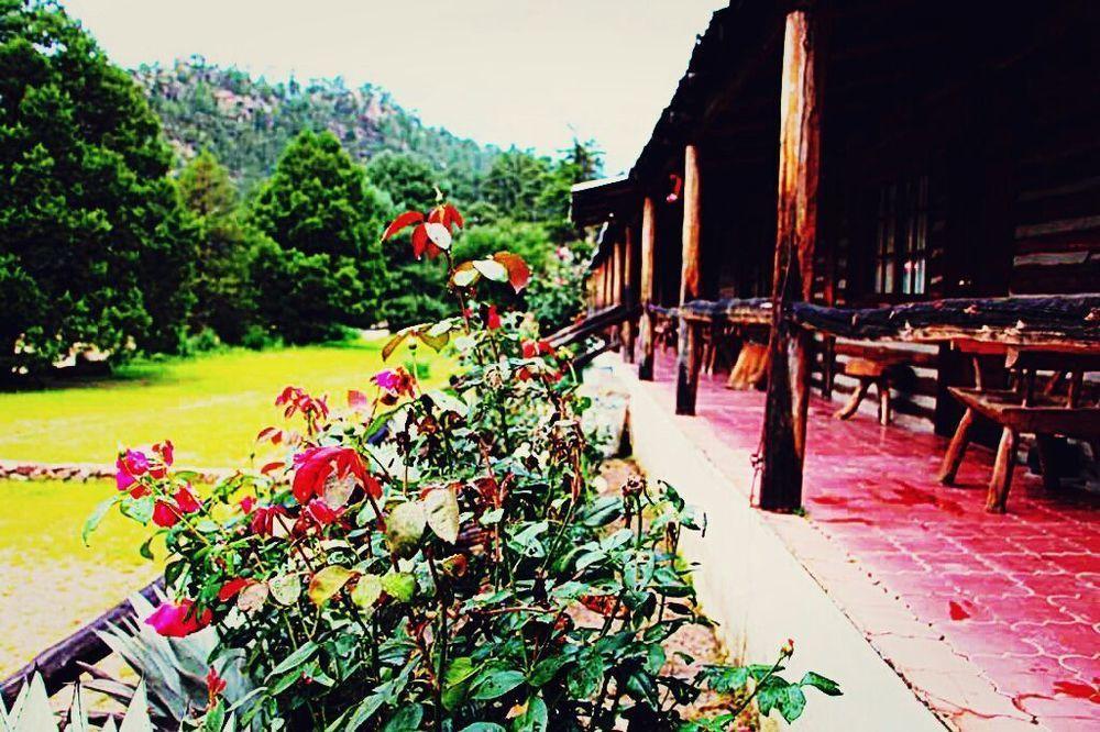 Hotel Cusarare River Sierra 3*