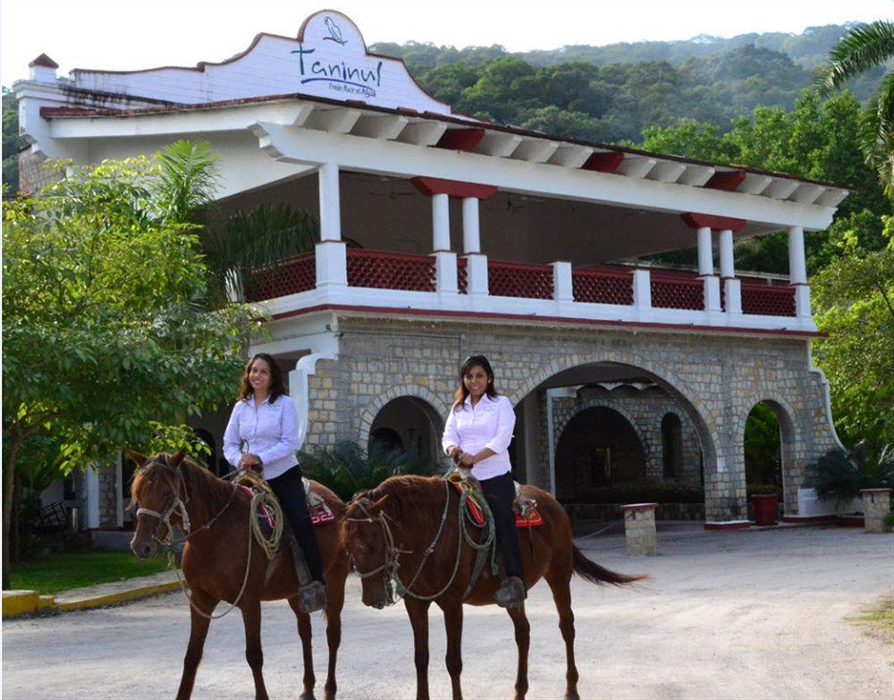 Hotel Taninul