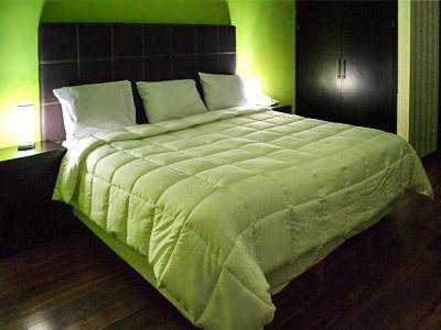 Dona Juana Cecilia Plaza Jalisco