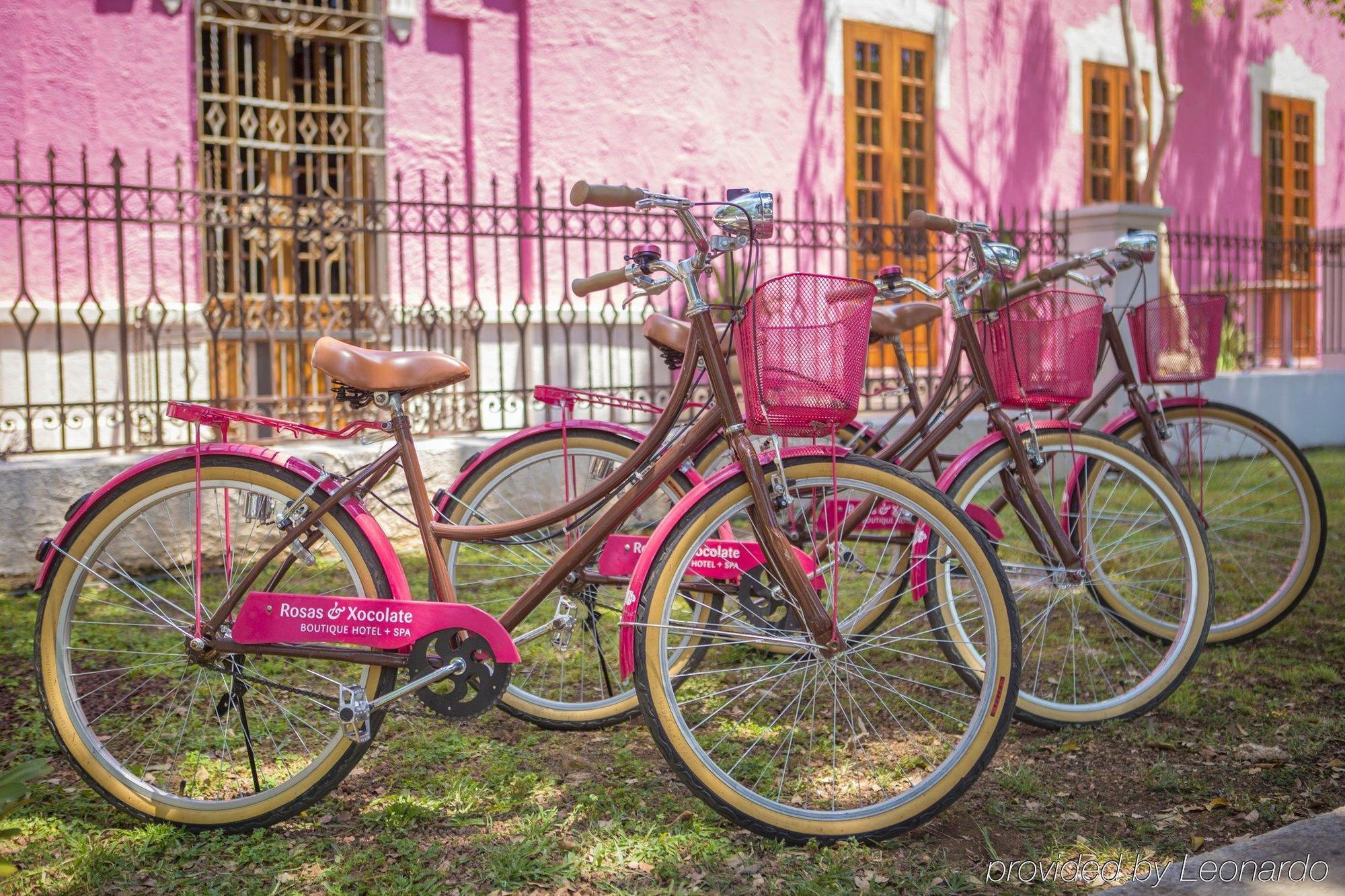 Hotel Rosas & Xocolate Boutique And Merida, A Member Of Design Merida