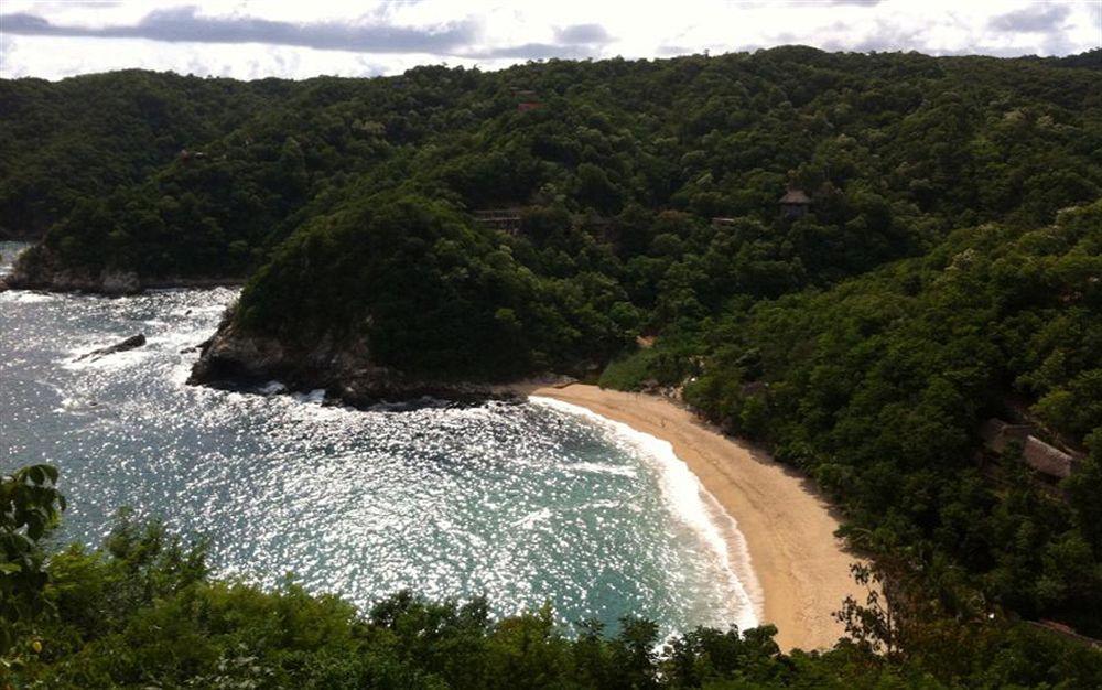 Hotel Casa Pauline Beach House (adults Only) San Pedro Pochutla