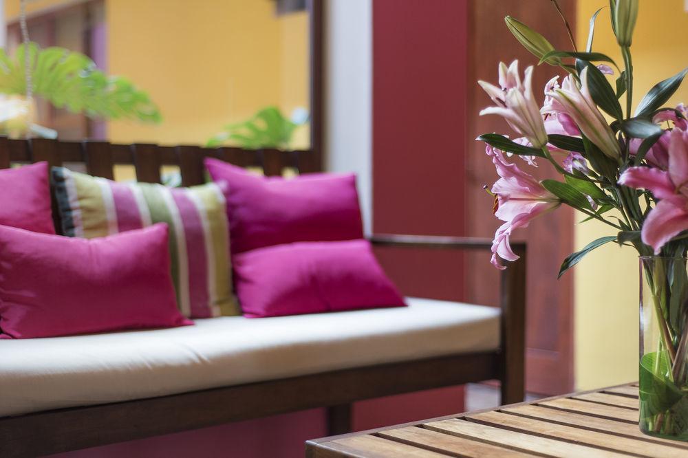 Art 57 - Adults Only 2* Merida