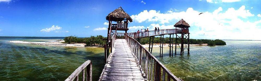El Corazon Boutique - Adults Only With Club Pass Included Hotel