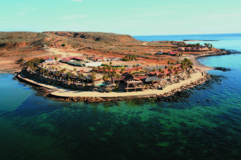 De Flores Punta Chivato