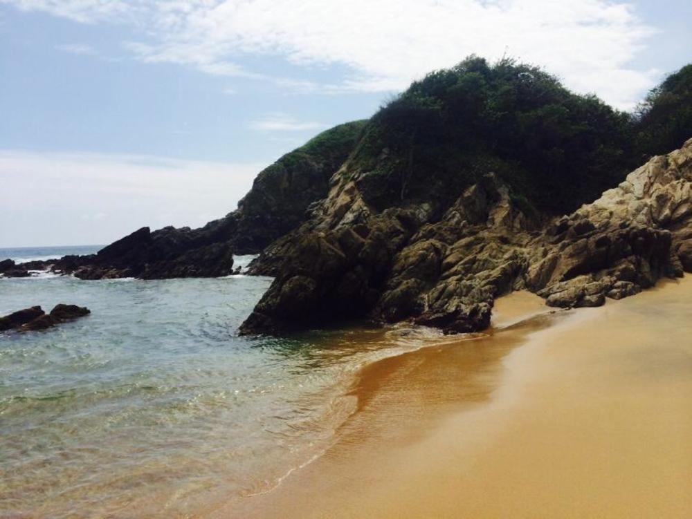 Teresa Hotel Zipolite