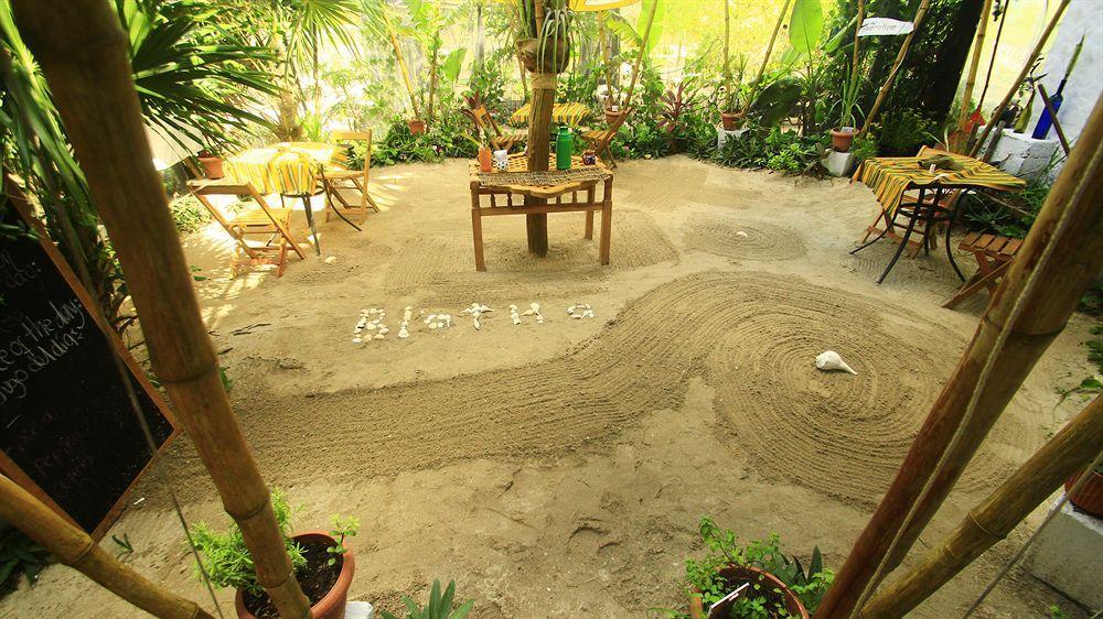 Blatha Tropical * Isla Holbox