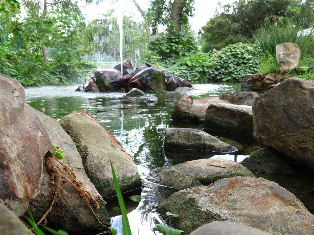 Rincon Del Montero Hotel Parras de la Fuente