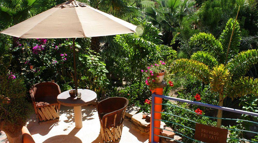 La Poza 5* Todos Santos