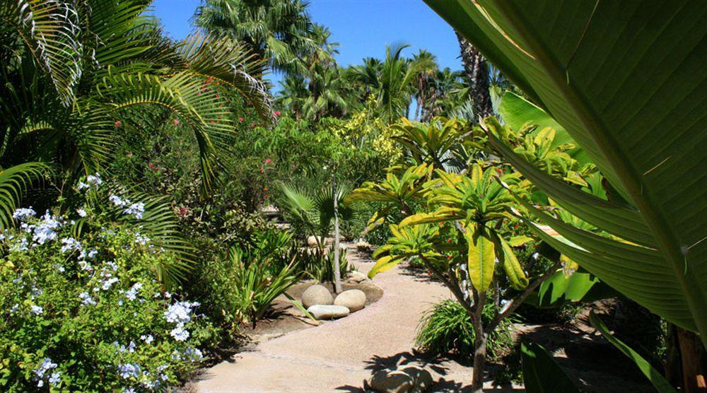 La Poza 5* Todos Santos