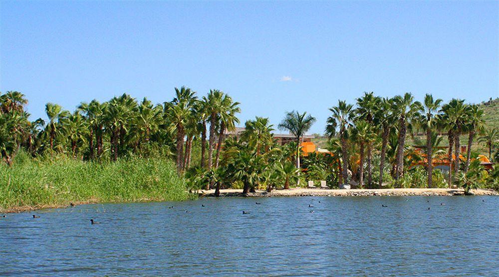 La Poza 5* Todos Santos