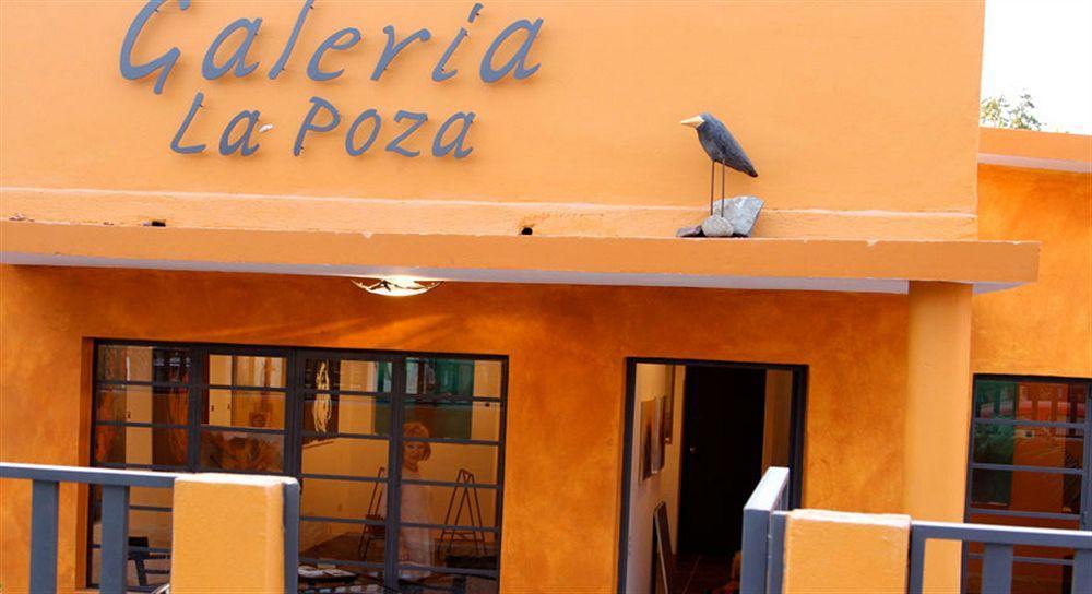 La Poza Hotel Todos Santos
