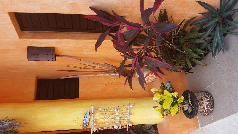 Casita De Maya Boutique Hotel