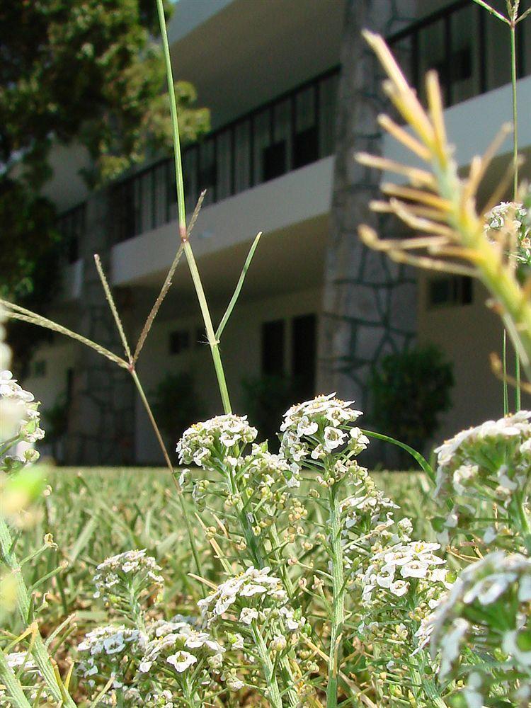 Rio Hotel Tequisquiapan