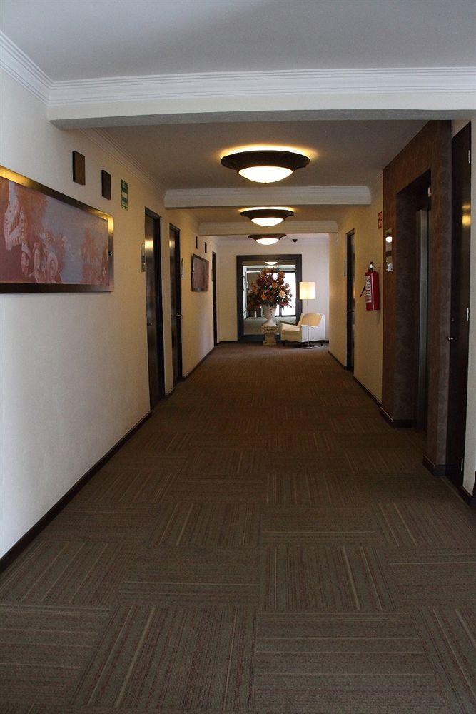 Clara Luna Hotel Xalapa