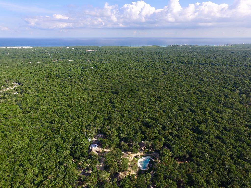 Hotel Morena Boutique Ecoliving Akumal