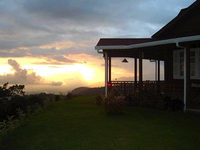 Finca Hamburgo La Ruta Del Cafe