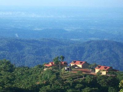 Finca Hamburgo La Ruta Del Cafe