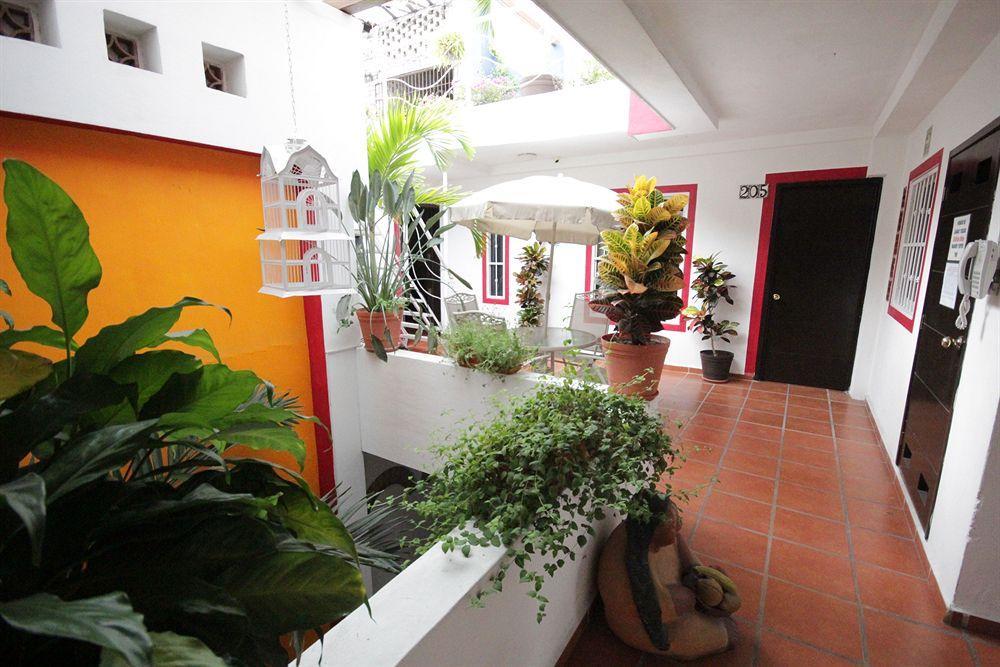 La Iguana Vallarta Lgbt Adults Only - Romantic Zone - Party Clubbing Street Puerto Vallarta