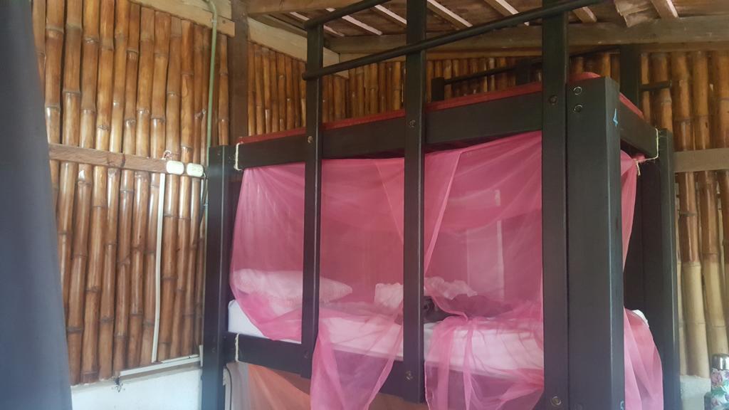 Guest house Zapotecas