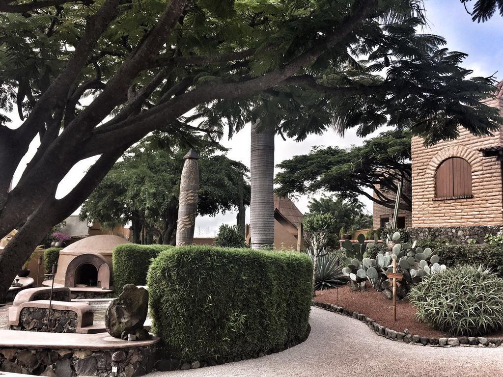 Hotel De La Luz - Holistic Tepoztlan