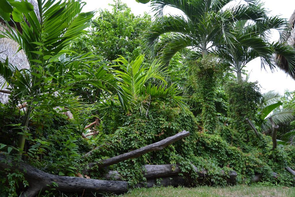 Celeste Del Mar Eco-hotel