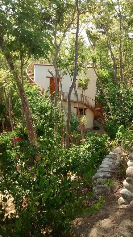 Bungalo En La Playa Tejon