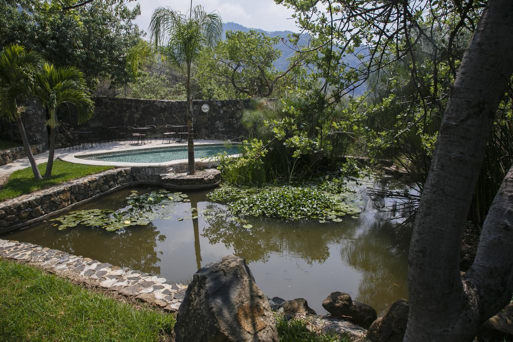 De La Luz - Holistic Tepoztlan