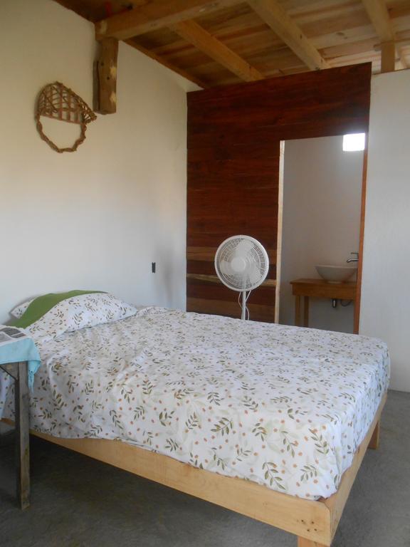 Cafe Maya - Casa Acalli Guest house 2*