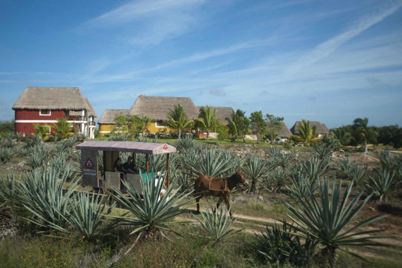 Hacienda Viva Sotuta De Peon