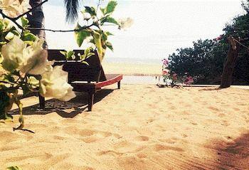 Df Playa Mazunte