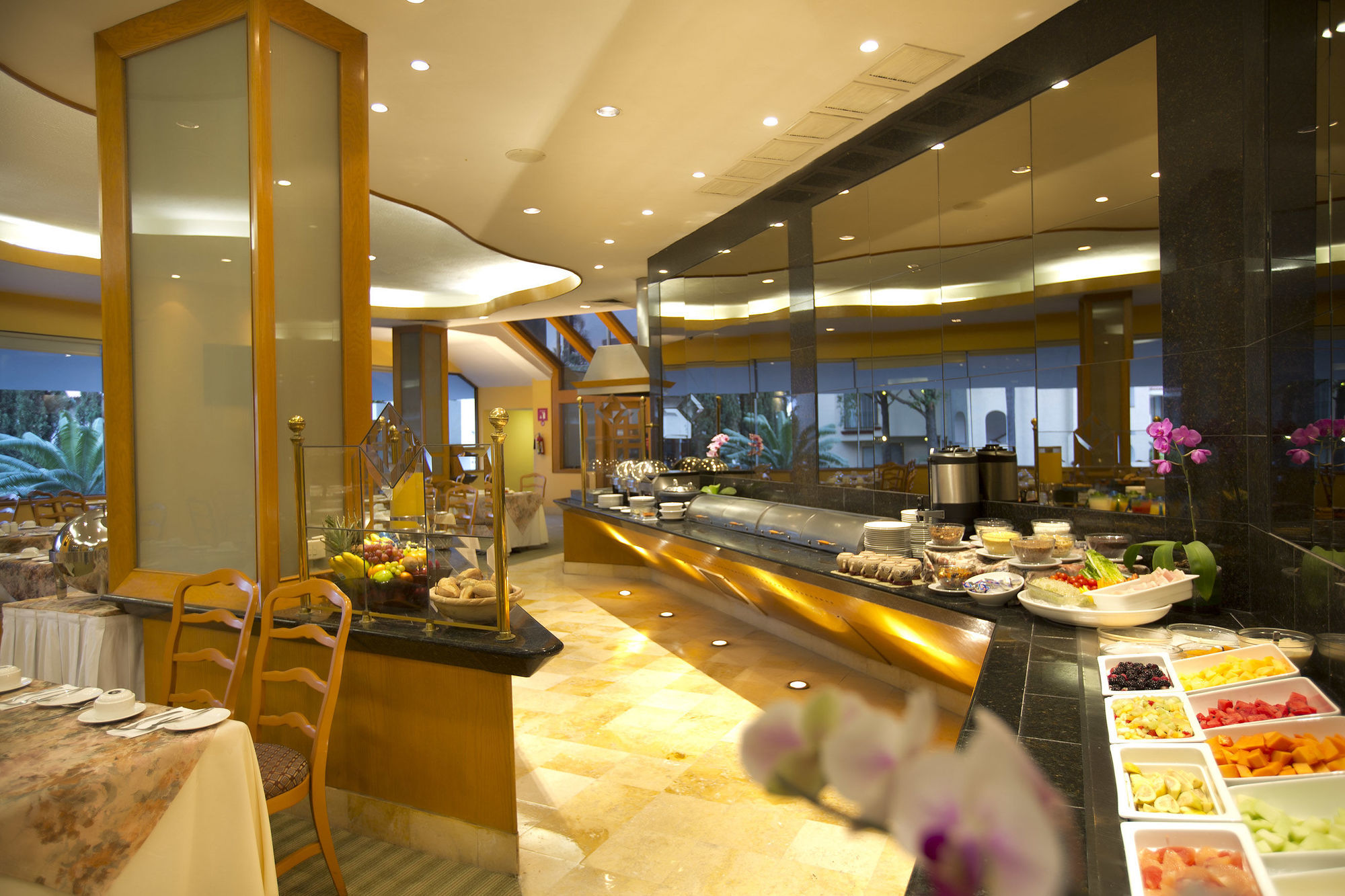 Hotel Guadalajara Plaza Ejecutivo Zapopan