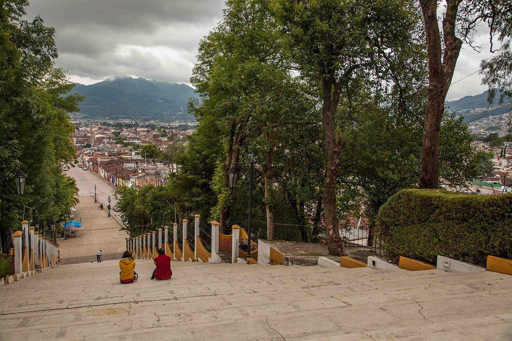 Grand Guadalupe By Inmense