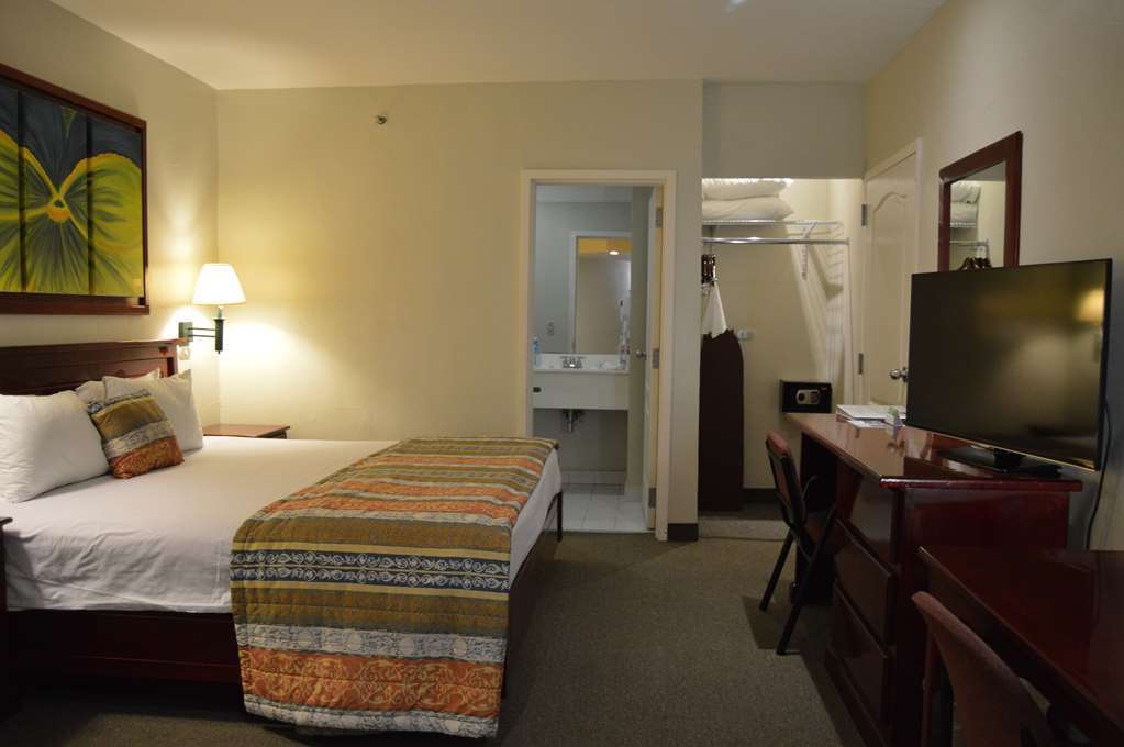 Western Bazarell Montemorelos