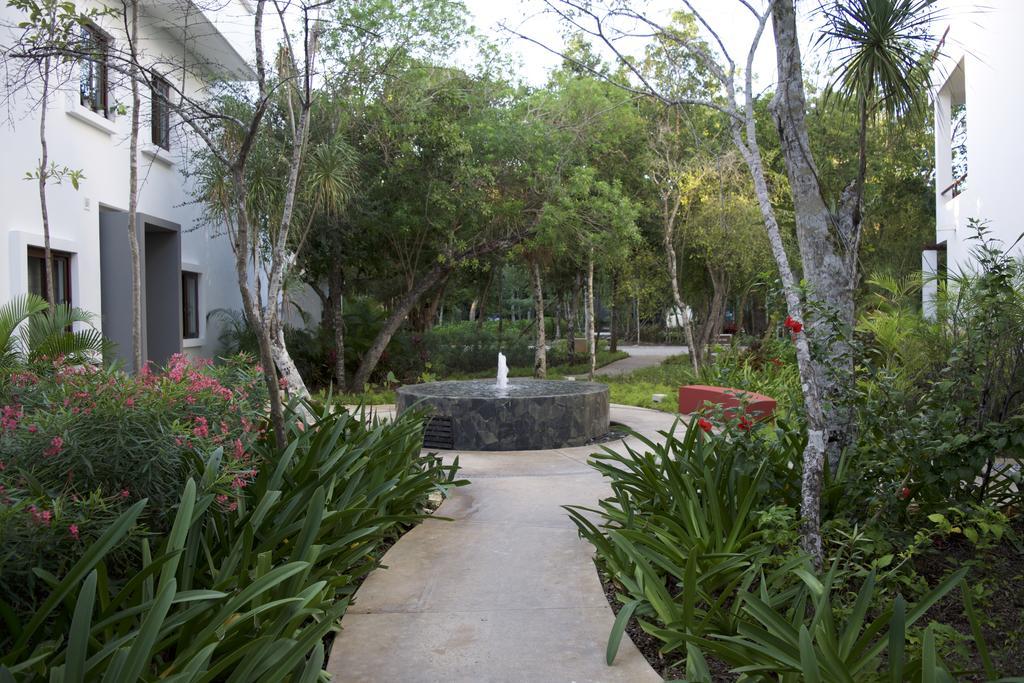 Tao Luxury Mexico * Akumal