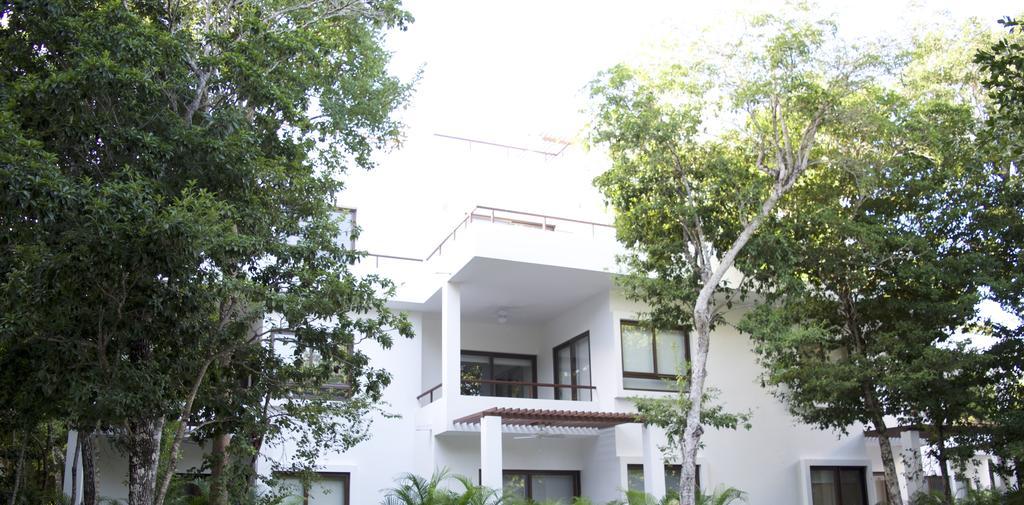 Tao Luxury Mexico *