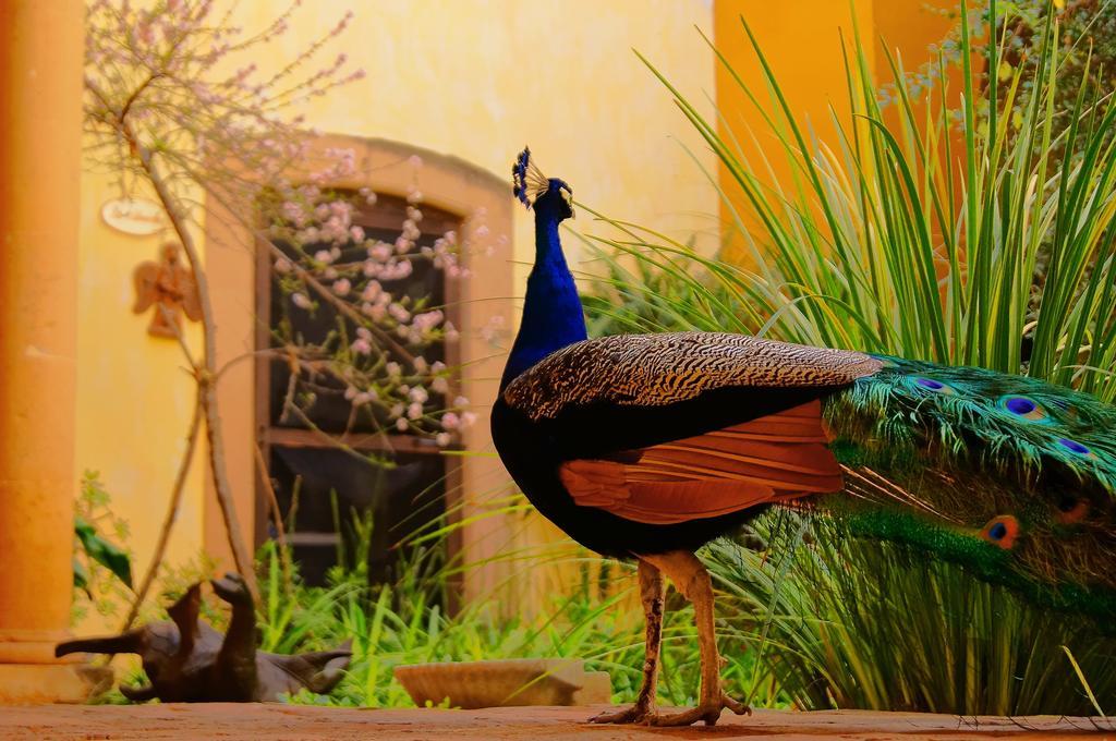 Hacienda Sepulveda & (adults Only) Hotel 4*